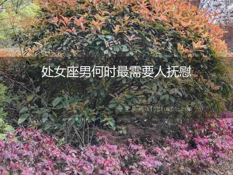 處女座男何時最需要人撫慰