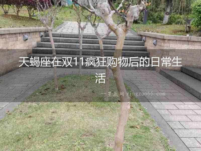 天蝎座在雙11瘋狂購物后的日常生活