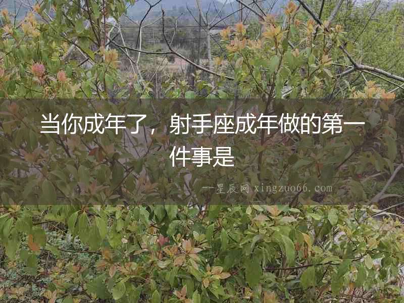 當你成年了，射手座成年做的第一件事是