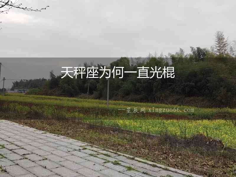 天秤座為何一直光棍