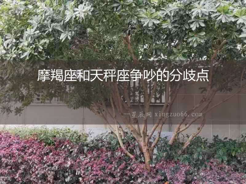 摩羯座和天秤座爭吵的分歧點