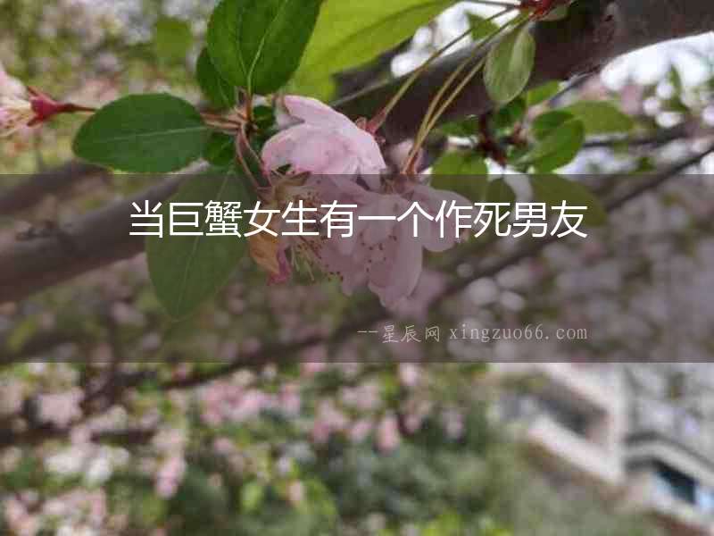 當巨蟹女生有一個作死男友
