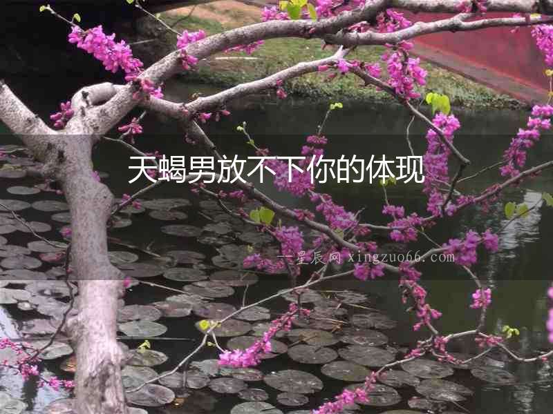 天蝎男放不下你的體現