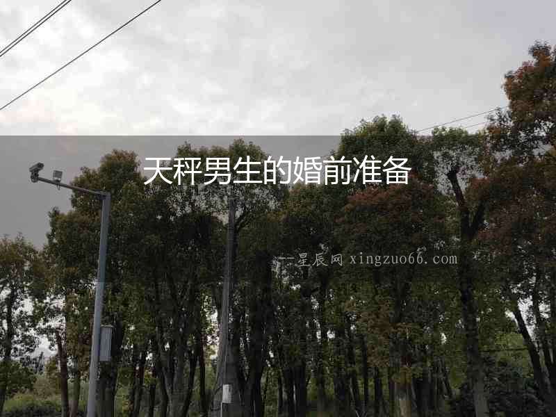 天秤男生的婚前準備