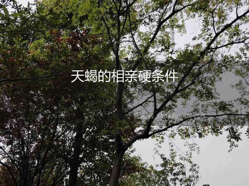 天蝎的相親硬條件