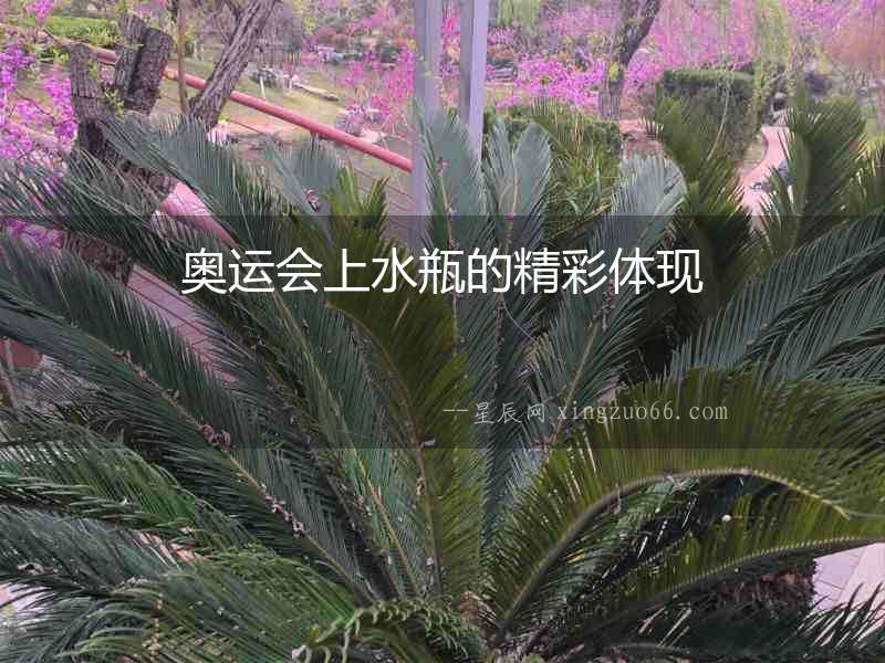 奧運會上水瓶的精彩體現