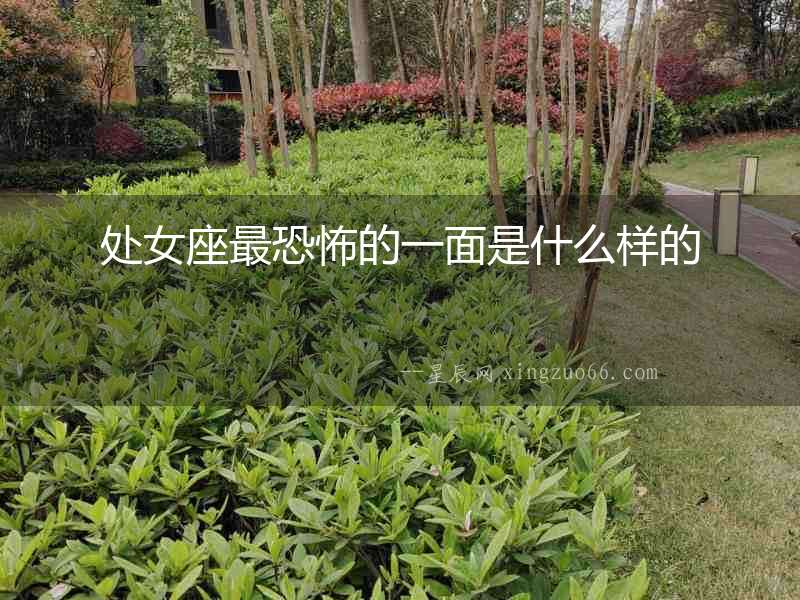處女座最恐怖的一面是什么樣的