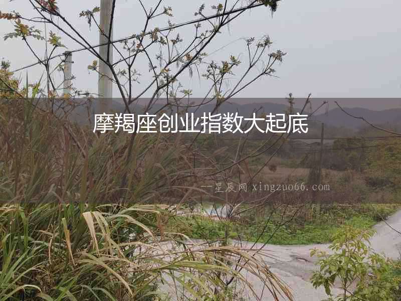 摩羯座創業指數大起底