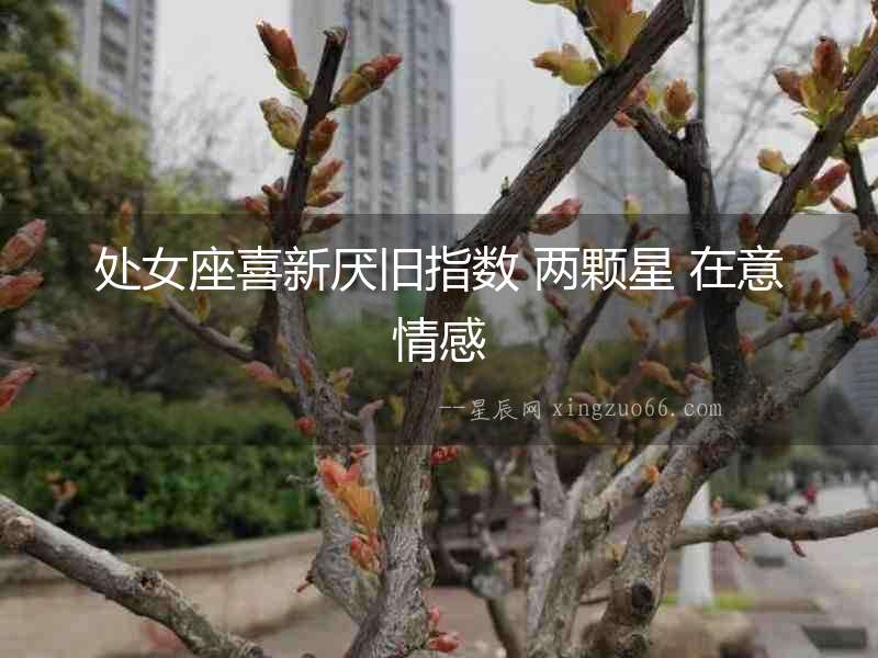 處女座喜新厭舊指數 兩顆星 在意情感