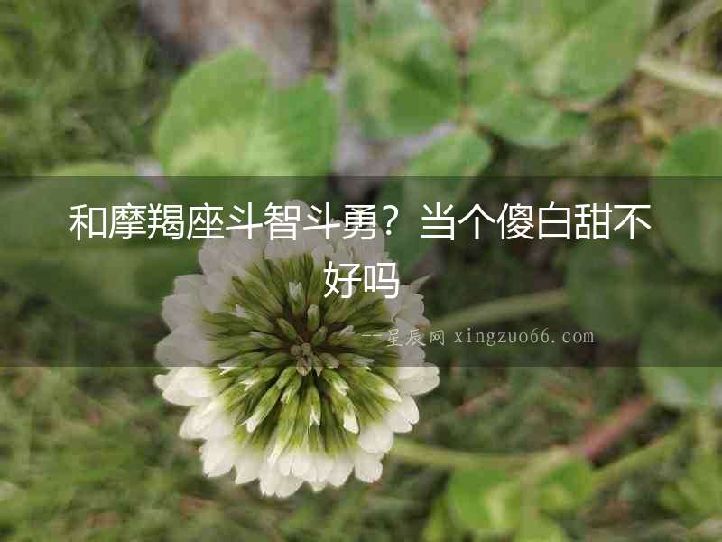 和摩羯座斗智斗勇？當個傻白甜不好嗎