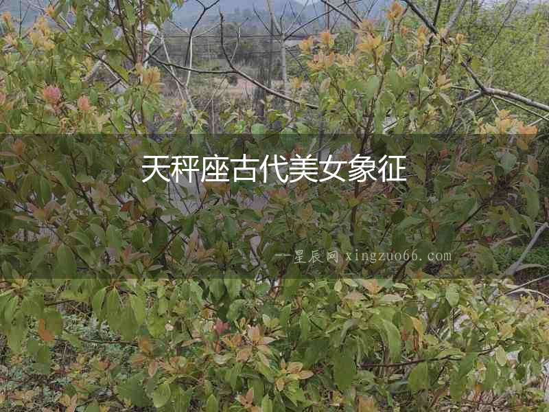 天秤座古代美女象征