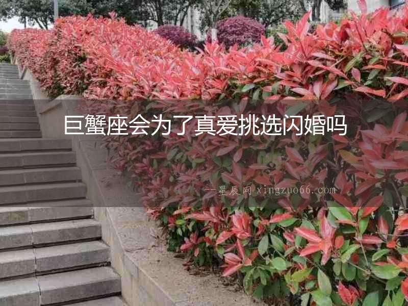 巨蟹座會為了真愛挑選閃婚嗎