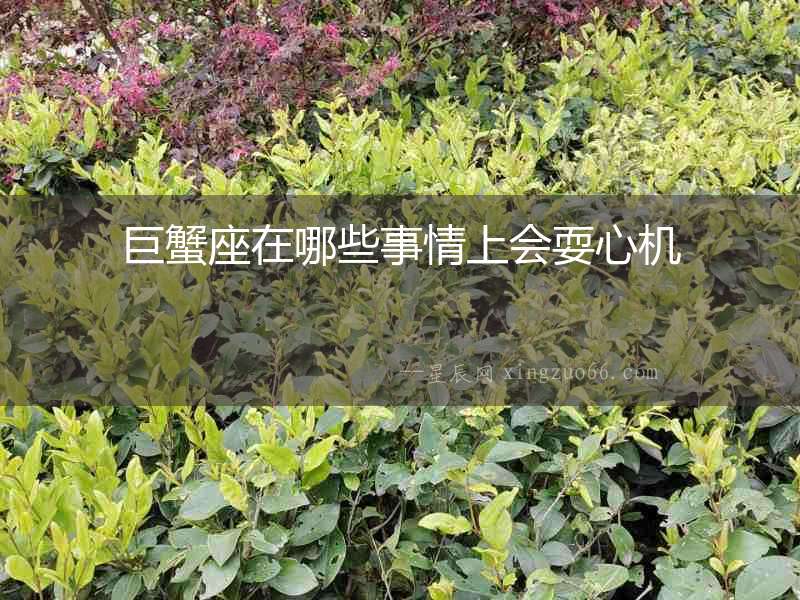 巨蟹座在哪些事情上會耍心機