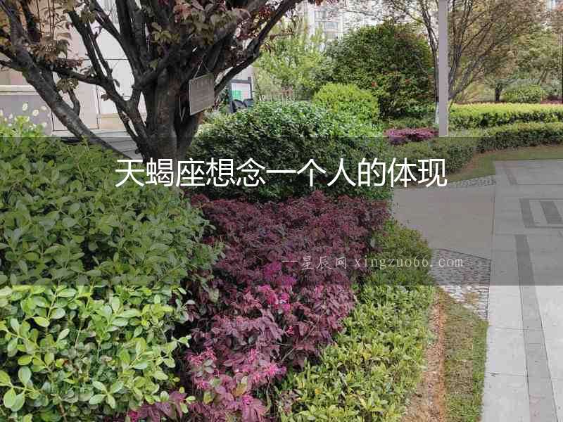 天蝎座想念一個人的體現