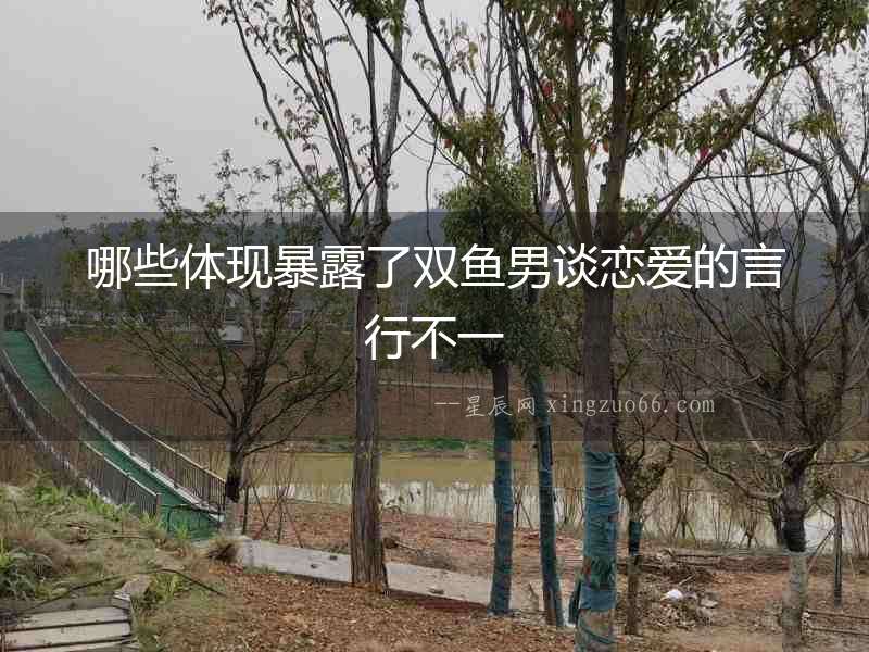 哪些體現(xiàn)暴露了雙魚(yú)男談戀愛(ài)的言行不一