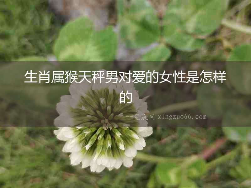 生肖屬猴天秤男對愛的女性是怎樣的