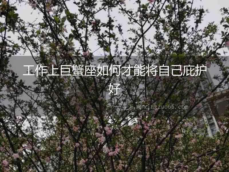 工作上巨蟹座如何才能將自己庇護好