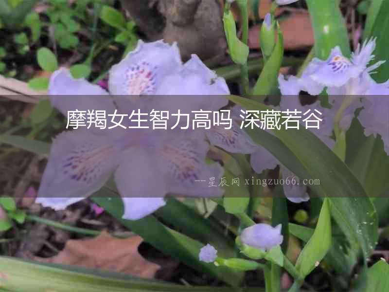 摩羯女生智力高嗎 深藏若谷