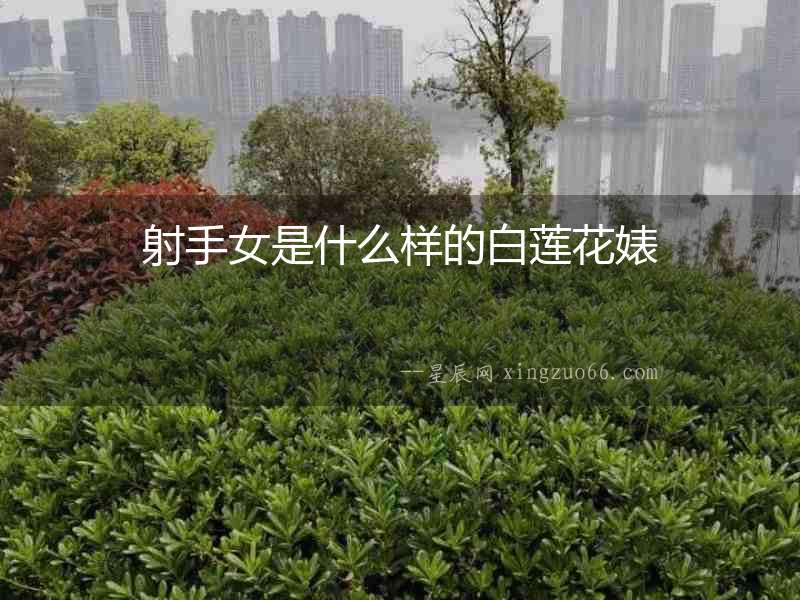 射手女是什么樣的白蓮花婊