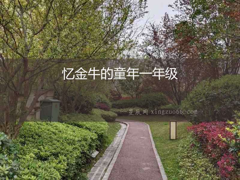憶金牛的童年一年級