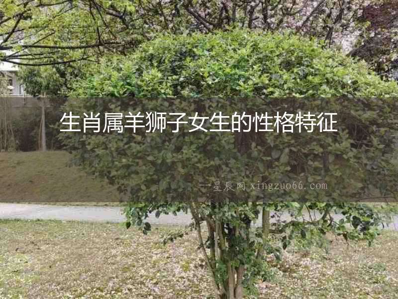 生肖屬羊獅子女生的性格特征