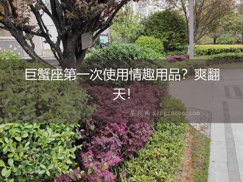 巨蟹座第一次使用情趣用品？爽翻天！