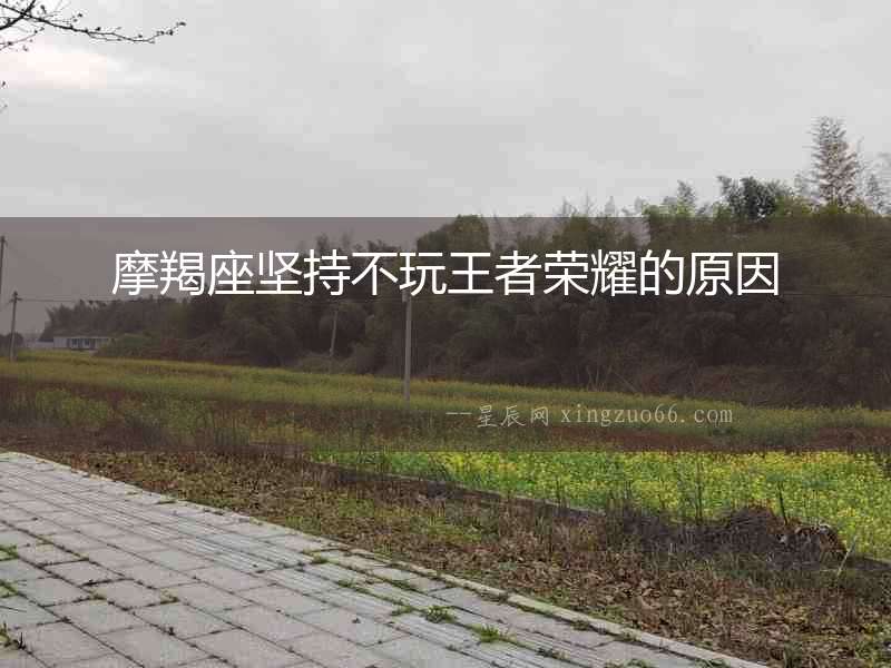 摩羯座堅持不玩王者榮耀的原因