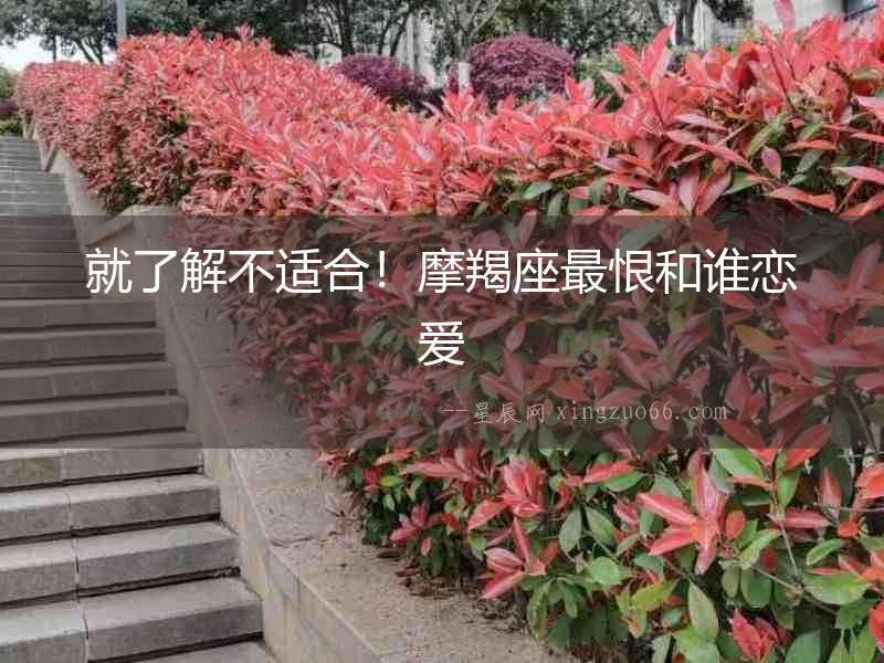 就了解不適合！摩羯座最恨和誰戀愛