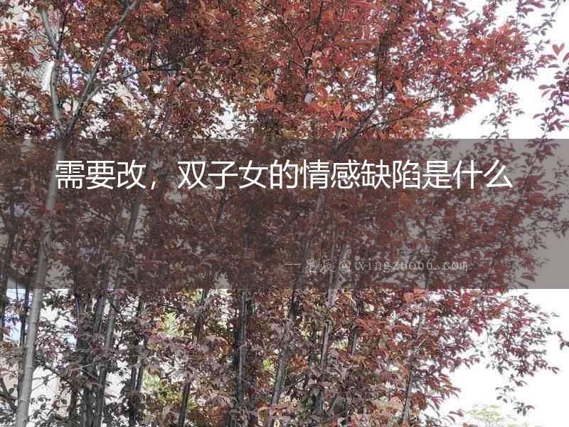 需要改，雙子女的情感缺陷是什么
