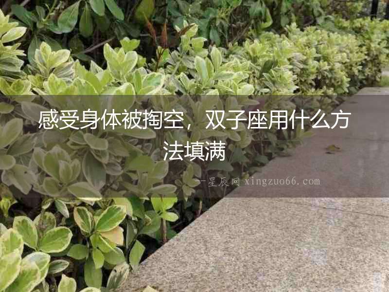 感受身體被掏空，雙子座用什么方法填滿