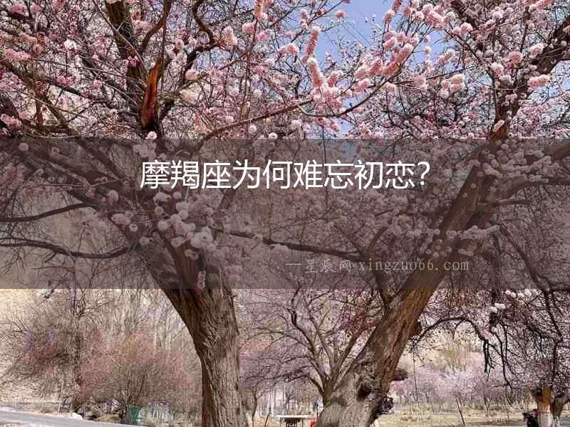 摩羯座為何難忘初戀？