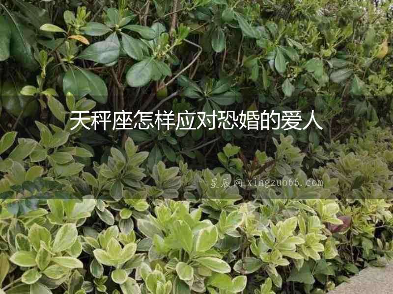 天秤座怎樣應對恐婚的愛人