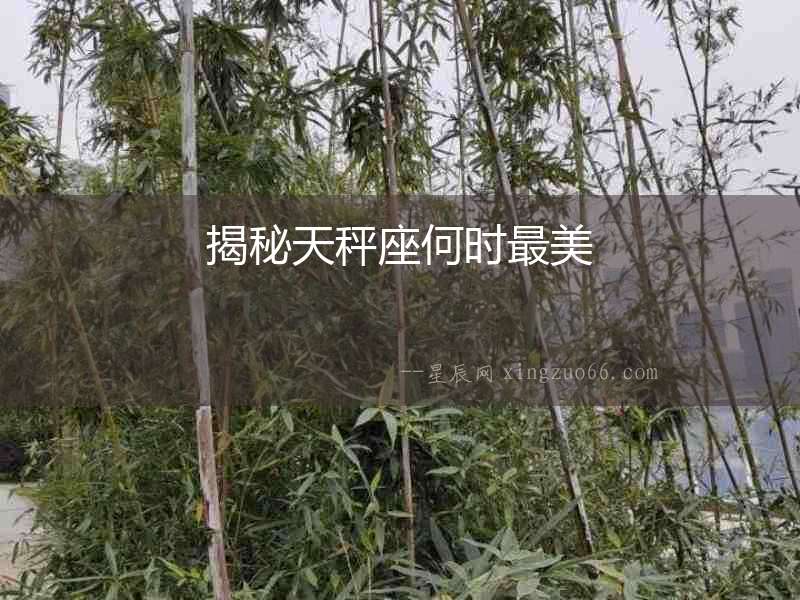 揭秘天秤座何時最美