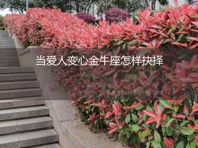 當(dāng)愛人變心金牛座怎樣抉擇