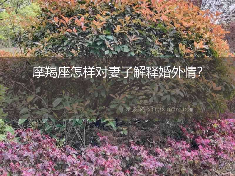 摩羯座怎樣對妻子解釋婚外情？