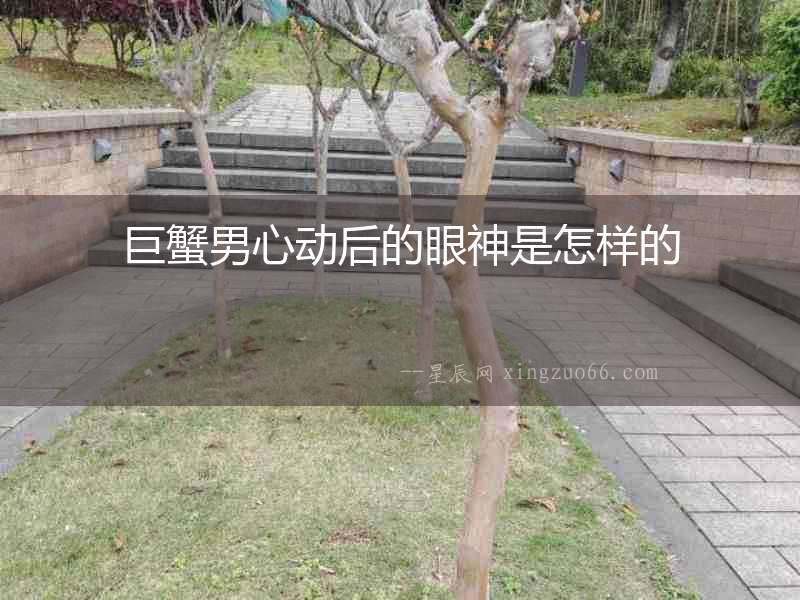 巨蟹男心動后的眼神是怎樣的