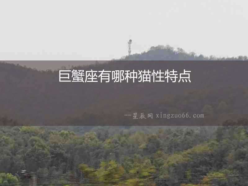 巨蟹座有哪種貓性特點