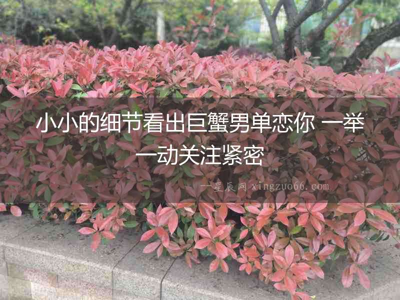 小小的細(xì)節(jié)看出巨蟹男單戀你 一舉一動(dòng)關(guān)注緊密