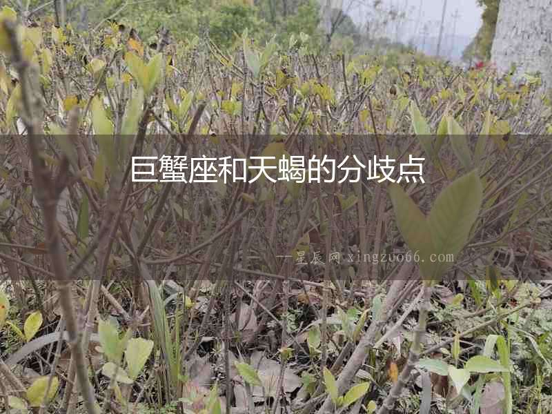 巨蟹座和天蝎的分歧點(diǎn)