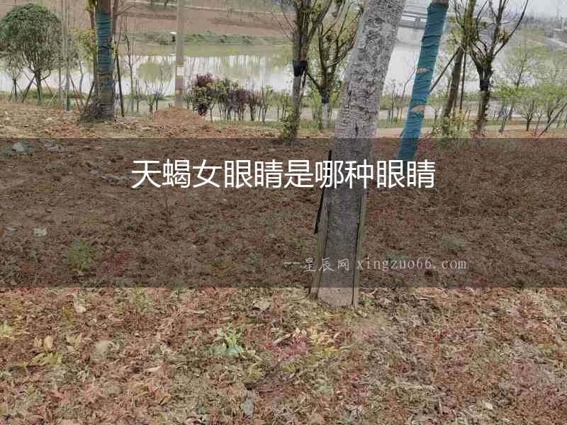 天蝎女眼睛是哪種眼睛