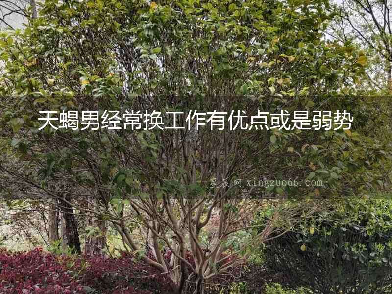 天蝎男經常換工作有優(yōu)點或是弱勢