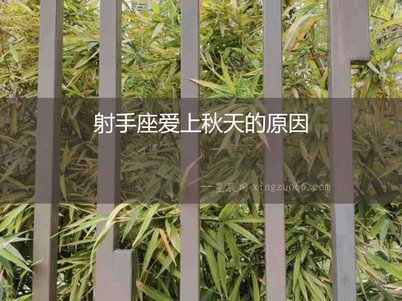 射手座愛上秋天的原因