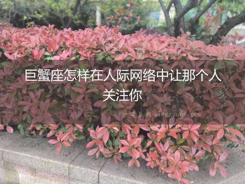 巨蟹座怎樣在人際網絡中讓那個人關注你