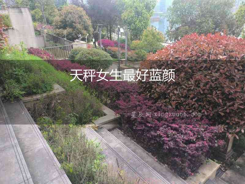 天秤女生最好藍顏