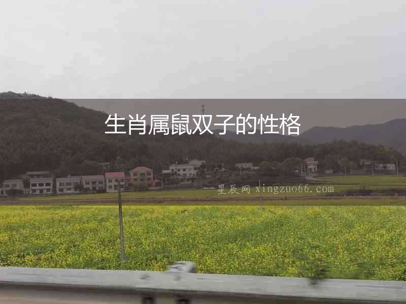 生肖屬鼠雙子的性格