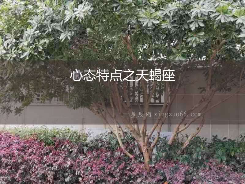 心態(tài)特點(diǎn)之天蝎座
