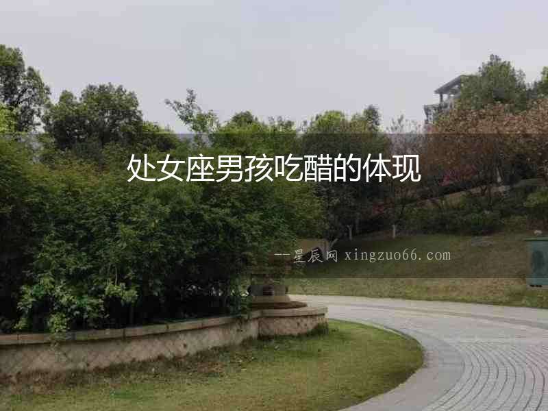 處女座男孩吃醋的體現