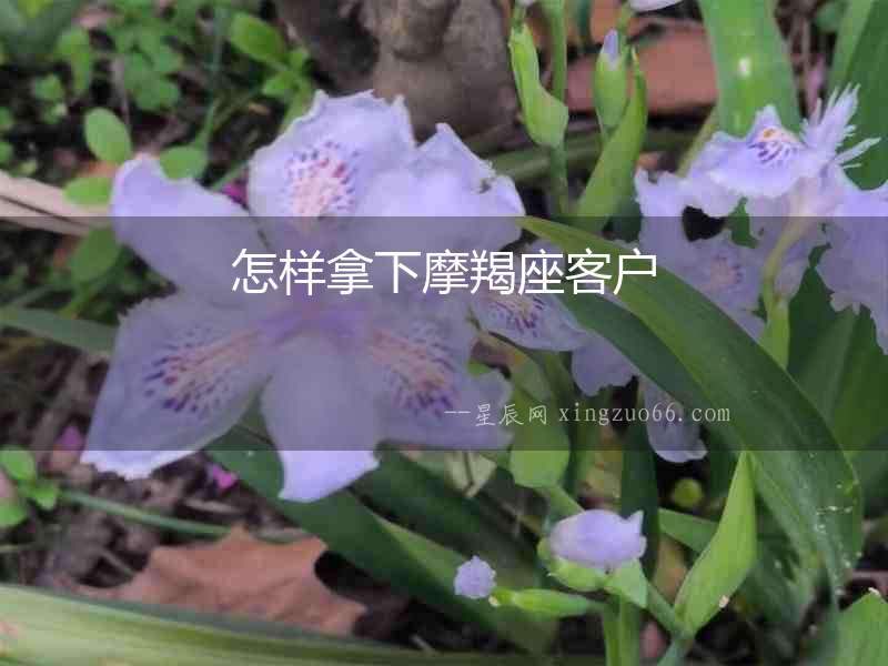 怎樣拿下摩羯座客戶