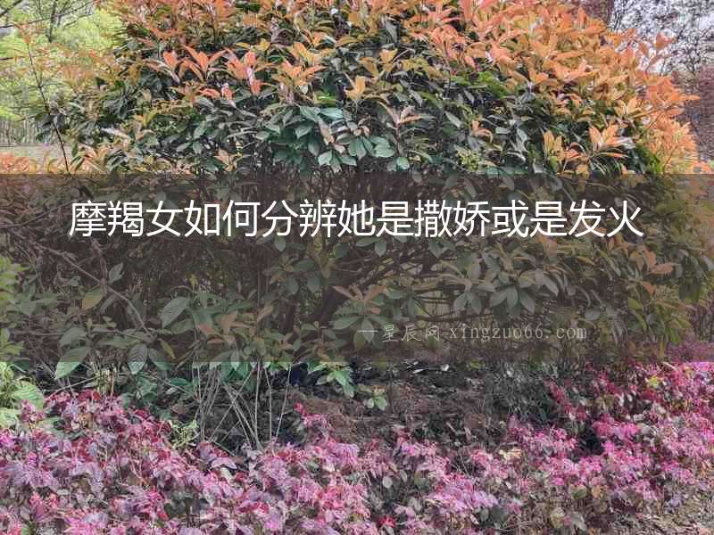 摩羯女如何分辨她是撒嬌或是發火