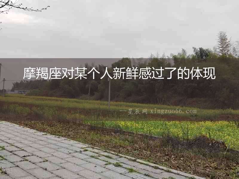摩羯座對某個人新鮮感過了的體現